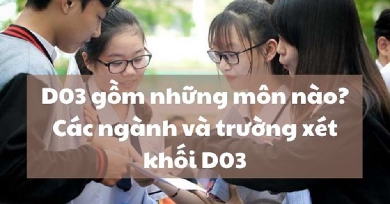 D03 gồm những môn nào? Những điều cần biết về khối D03