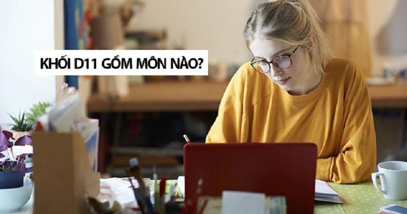 Khối D11 gồm những môn nào? Học trường gì?